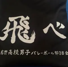ハイキュー!!烏野高校ジャージ（Lサイズ）