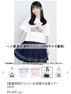 Item thumbnail for item 1ba4fa24-0f92-4bf3-8191-63ec0e460096