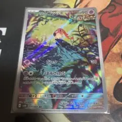 サケブシッポ　AR