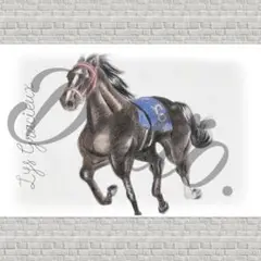 【リスグラシュー】No.10 イラスト ポストカード 色鉛筆画 JRA