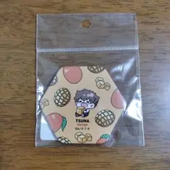 家庭教師ヒットマンREBORN!　六角形缶バッジ　沢田綱吉