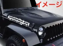 Item thumbnail for item a1d04169-47eb-4831-8442-51d45714495c