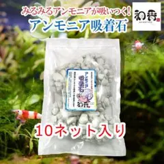 アンモニア吸着石 10ネット 関連:めだか金魚クロレラ熱帯魚AY