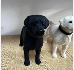 フィギュア　ぬいぐるみ　ラブラドールレトリバー　犬　オブジェ　インテリア　置き物