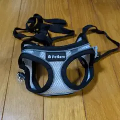 Item thumbnail for item d418c5bb-022a-4f32-8809-1ef6b800bfec