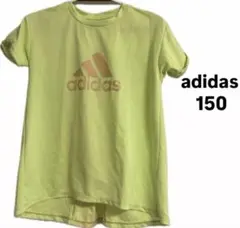 adidas ライムグリーン Tシャツ 150