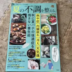 宝島社発行　夏の不調を整える。