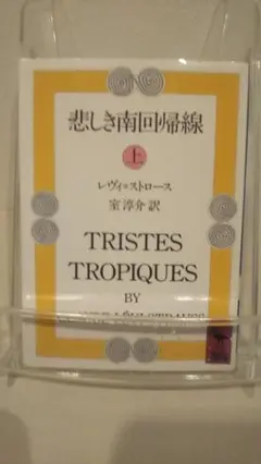 悲しき南回帰線(上) (講談社学術文庫 711)