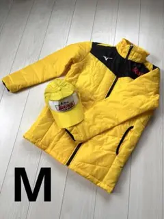 Item thumbnail for item d43f52c0-2dd7-4fbe-b5d8-793f006c1be9