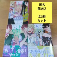 ヤンキーと双子の作り方 　全巻セット