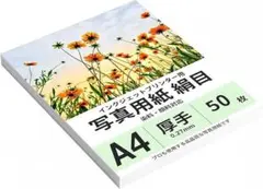 Item thumbnail for item 2ae580fe-f51e-4868-a932-adff1c65390c