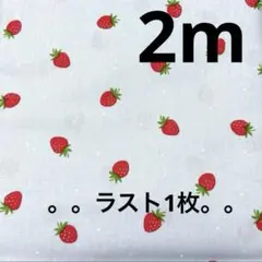 【特価】最終出品★ラスト１枚★シーチング★いちご　ドット★水色★