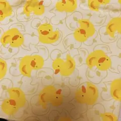 はぎれ
