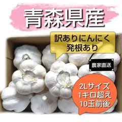 訳ありにんにく 2Lサイズ 1kg以上 青森県産 農家直送