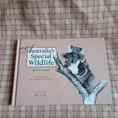 Australia's Special Wildlife