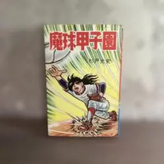 Item thumbnail for item 3d6f036b-c3f8-4d2d-9ce6-3ead99030d0b