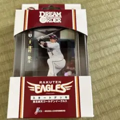 楽天イーグルス 浅村栄斗 DREAM ORDER