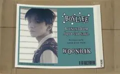 BOYNEXTDOOR ウナク レモンスカッシュ ラベル缶②