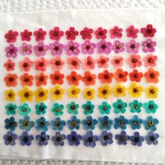 コデマリ　押し花⑱
