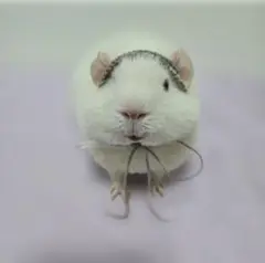 Item thumbnail for item bb55bc48-45bb-4f05-92e1-8f9860a7cdd7