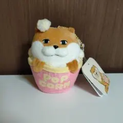 可愛い嘘のカワウソ　ポップコーンからひょっこりマスコット
