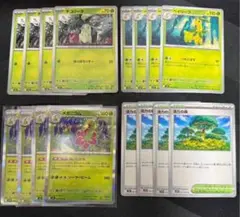 メガニウム　進化ラインセット　活力の森