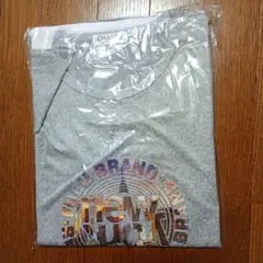 グレー Tシャツ