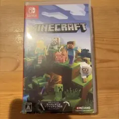 Minecraft Nintendo Switch