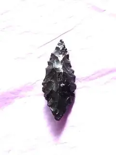 Item thumbnail for item ec886ecc-5788-44bc-9aec-145690603c60