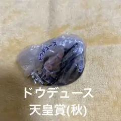 Item thumbnail for item 3b0e1009-e063-4170-b0a6-bb84e58e2abf