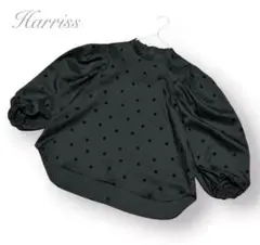 Item thumbnail for item 166ec873-2a8a-4d07-aced-b3d28f7abc36