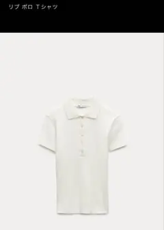 ZARA リブ ポロ Tシャツ M オフホワイト