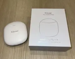 Item thumbnail for item 162707a1-918a-40a6-955f-3afbb1665029