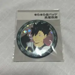 黒尾鉄朗 缶バッジ きらきら 猫 ハイキュー