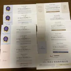 パートナーエージェント株主優待券