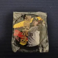 湯浅京介選手 缶バッジ 阪神タイガース