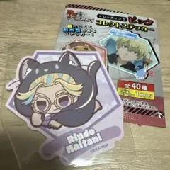 東京リベンジャーズ 灰谷竜胆