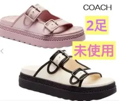 Item thumbnail for item da8bb39f-2431-43f1-8f73-461f28d79733