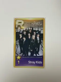 straykids super star jypnation