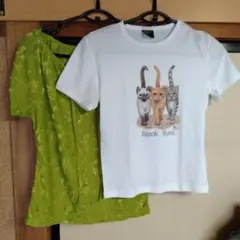 猫イラストミニTシャツとグリーントップスセット