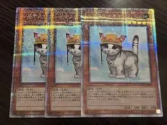 遊戯王 レスキューキャット 25thシークレット　3枚