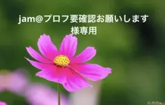 人気 モンクレール ファランジェール 雑誌掲載