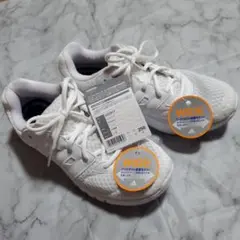 Item thumbnail for item 9597835b-30b7-4ddc-a3b3-2727fa815ea5