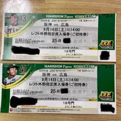 阪神タイガース 9月14日(土)広島戦 チケット2枚 阪神タイガース 阪神vs広島 レフト外野席☆9月14日(土) 14時開始