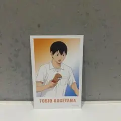 ハイキュー　影山飛雄　ナンジャタウン　ミニイラストカード