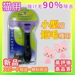 Item thumbnail for item d8bd995e-9397-44b1-a820-880a2c9f6f01