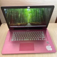 Item thumbnail for item 13148e10-7419-416b-baac-1064a8f9ae15