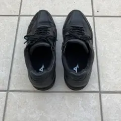 MIZUNO GORE-TEX サイドジップ 26.0cm ウオーキングシューズ