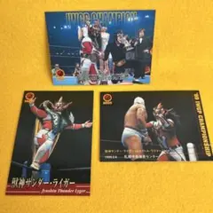 獣神サンダーライガー　新日本プロレスリング トレーディングカード2000