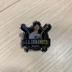 阪神タイガース　近本光司　シークレットピンズ